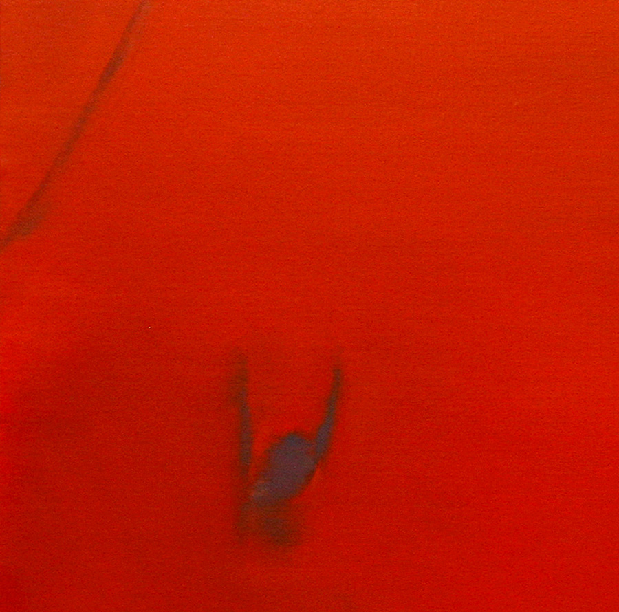 00_Détail_couverture_El-Plomo,-2007,-huile-sur-toile,-120x120cm